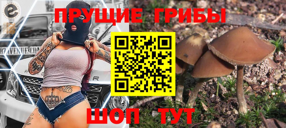 Галлюциногенные грибы MAGIC MUSHROOMS Арсеньев