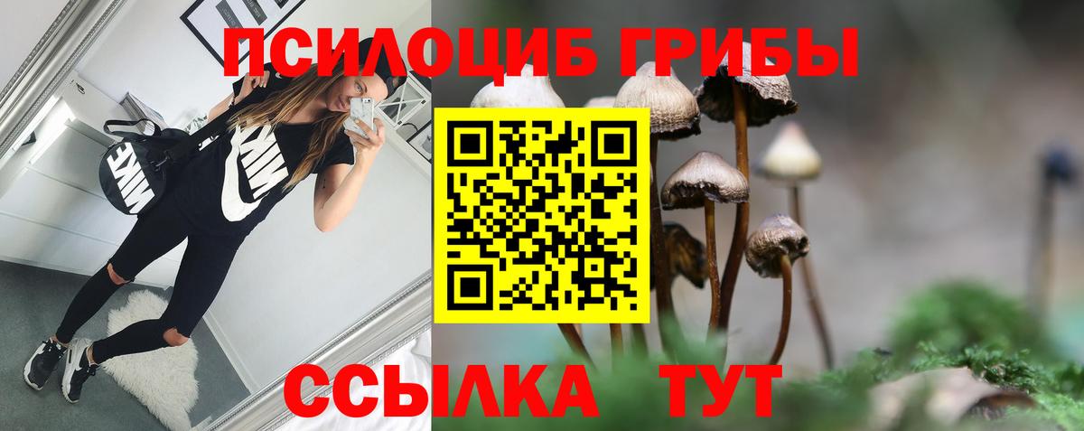 где купить наркоту  Псилоцибиновые грибы Cubensis  Арсеньев  Вход с VPN  Галлюциногенные грибы MAGIC MUSHROOMS 